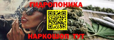 винт Обнинск