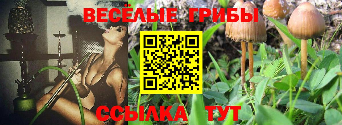Галлюциногенные грибы Psilocybine cubensis  Галлюциногенные грибы мухоморы  закладка  Вход с VPN  Туймазы 